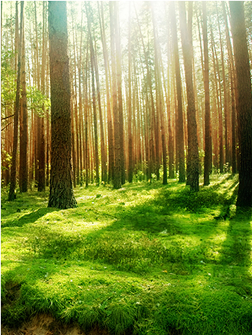 南京市某某贸易有限公司